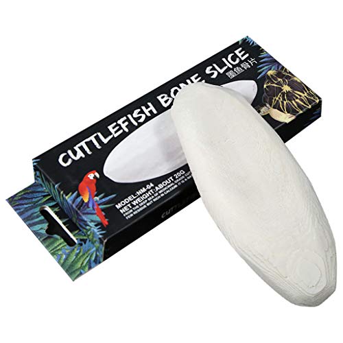 KdjsicReptile Turtle Health de liberación Lenta Mineral de Calcio Hueso de Sepia para Tortuga acuática, alimentación de Aves, Bloque de Hueso de Sepia