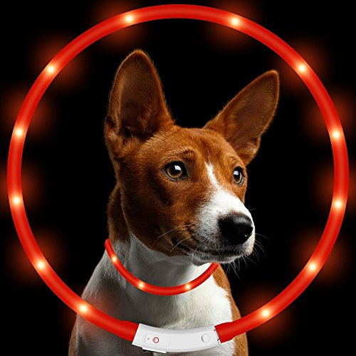 KEKU LED Collar de Perro de Mascota, llevó USB Recargable Collar de Seguridad para Mascotas Impermeable hasta la Longitud de 50 cm (19.5in) Collar de Destello Ajustable (Rojo)