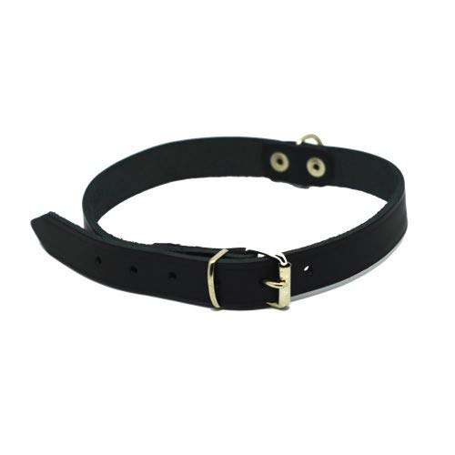 Kerbl 83871 Mexica - Collar con Remaches, Color Negro