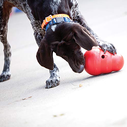 KONG WobblerT.L: 20 cm