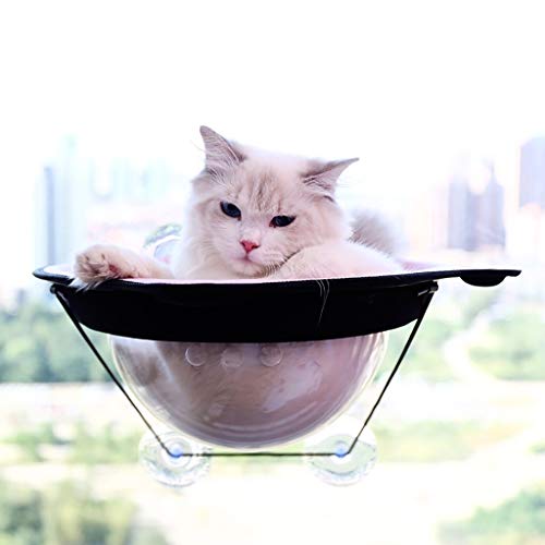 Las camas colgantes de mascotas Cama del gato succión de la ventana Asiento de ventana Gatos cama taza transparente licencia creativa de los gatos se reclina con el espacio de la capilla del gato Sumi