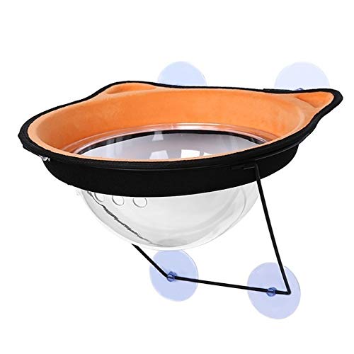 Las camas colgantes de mascotas Cama del gato succión de la ventana Asiento de ventana Gatos cama taza transparente licencia creativa de los gatos se reclina con el espacio de la capilla del gato Sumi