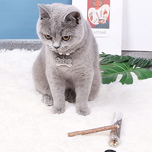 Legendog Cat Molar Stick Natural 4 Piezas Divertido Reutilizable Silvervine Kitten Play Toy Gatito Catnip Stick para Gato