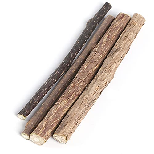 Legendog Cat Molar Stick Natural 4 Piezas Divertido Reutilizable Silvervine Kitten Play Toy Gatito Catnip Stick para Gato