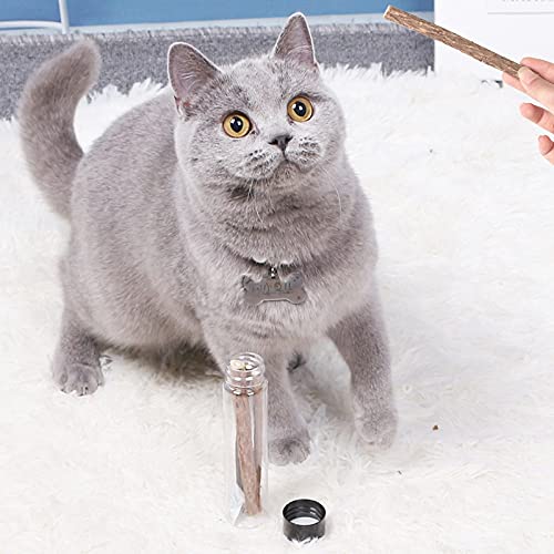 Legendog Cat Molar Stick Natural 4 Piezas Divertido Reutilizable Silvervine Kitten Play Toy Gatito Catnip Stick para Gato