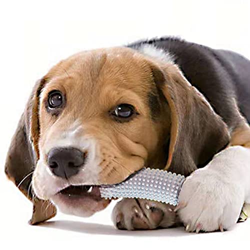 Legendog Dog Cepillo De Dientes Juguete Caucho Portátil Funny Reutilizable Suave Ligera Ligero Perrito Interactivo Dientes Limpieza Toy Tootes Portátil Portátil Cosoricos Agresivos