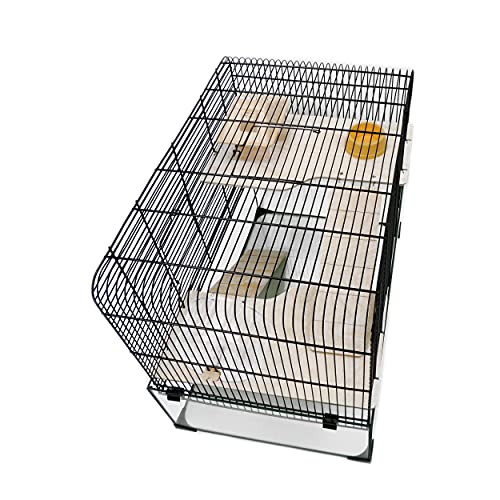 Little Friends Jaula de Gerbilarium Savoy con Accesorios, 58,5 x 38 x 47,5 cm