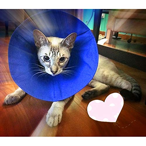 LOVE&HOME Gatos Perros Recuperación De La Cirugía De Cuello Ajustable Collar For Perro Cómodo Cono Perro For Mascotas Recuperación E-Collar Isabelino Collares Anti Licked (Size : L)