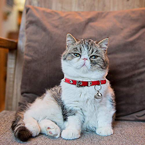 Luniquz Collares para Gatos con Campana Extraíble Ajustable para Gatos Cachorros Pequeños Perros Medianos