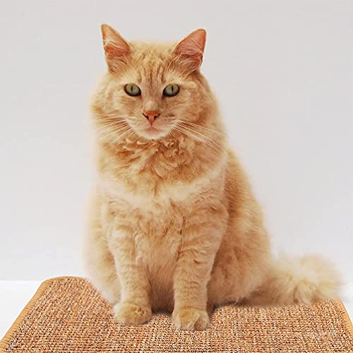 M I A Alfombrilla para rascar gatos de sisal horizontal para gatitos para proteger la alfombra de molienda, protector de muebles, 50 x 80 cm (color como se muestra)