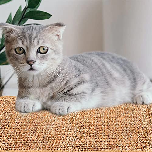 M I A Alfombrilla para rascar gatos de sisal horizontal para gatitos para proteger la alfombra de molienda, protector de muebles, 50 x 80 cm (color como se muestra)