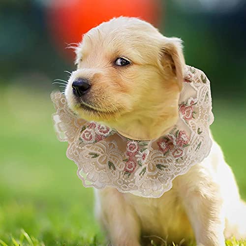 M I A Bandana para mascotas, disfraz de gato, ropa de encaje, triángulo, accesorios para vestir con encaje transpirable, baberos para perro, gato, mascota (color como se muestra, tamaño: 20 x 25 cm)