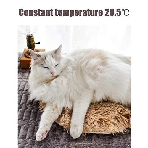 Manta calefactable para Perros, Cama Ajustable Impermeable con calefacción para Mascotas, Almohadilla térmica eléctrica de Seguridad para Perros y Gatos con Temporizador, diámetro: 40 cm