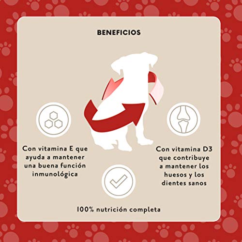 Marca Amazon - Lifelong Alimento completo para perros adultos - Selección de carne en salsa, 1.2 kg (12 bolsitas x 100g)