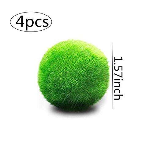 MEISISLEY Plantas Acuario Naturales Plantas Naturales para Acuarios Acuario Adornos Grande Decoración de acuarios Plantas Accesorios de pecera Tropical 4pcs