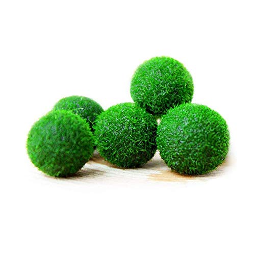 MEISISLEY Plantas Acuario Naturales Plantas Naturales para Acuarios Acuario Adornos Grande Decoración de acuarios Plantas Accesorios de pecera Tropical 4pcs