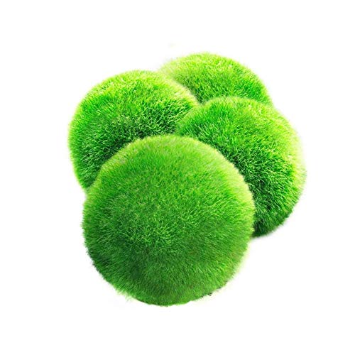MEISISLEY Plantas Acuario Naturales Plantas Naturales para Acuarios Acuario Adornos Grande Decoración de acuarios Plantas Accesorios de pecera Tropical 4pcs
