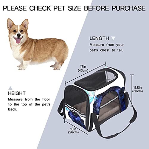 MEITD Portagatos, transportador de viaje para mascotas, para perros, cachorro, cómodo, portátil, plegable, bolsa para mascotas, aprobada por aerolínea, pantera negra y mariposa azul