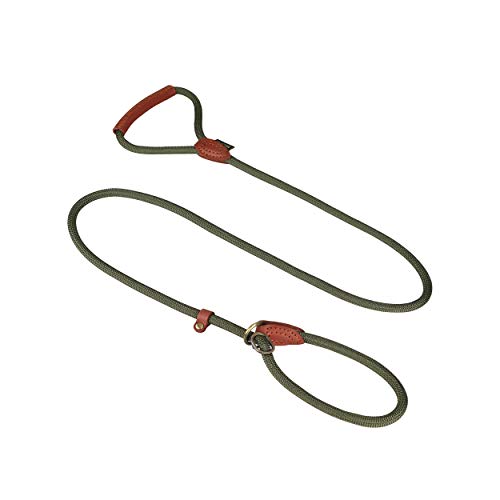 Michur Sherpa Leash Green Hornet Correa Redonda Hecha de cordón de Nylon Reforzado con Cuero Resistente, Disponible en Diferentes tamaños y Colores, Correa de Cuero Verde Perro, Cuero, Mascotas