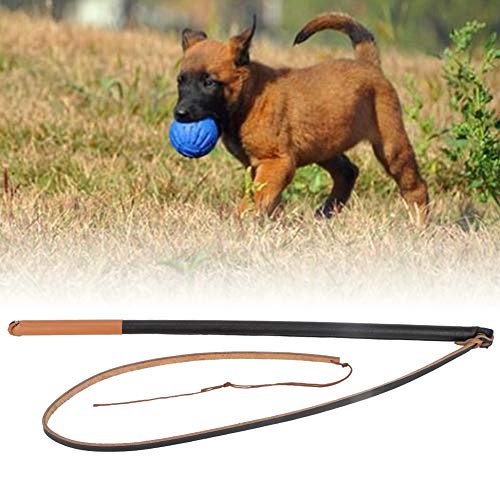 mumisuto Látigo de Entrenamiento para Mascotas, látigo de Entrenamiento para Perros protección de Cuero Correas para Mascotas ayudas (Las Bandas de los Extremos Son de Color Aleatorio)