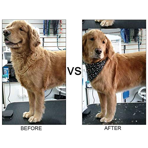 NACTECH Cepillo Perros Cepillo de Pelo Gatos Profesional Peine de Limpieza de Mascotas Nudos Remover Pelo Muerto Peine de Rastrillo Autolimpiable Quitapelos Perros y Gatos Largo/Corto