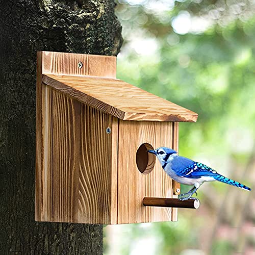 Nidos Para Pajaros, Casa Pajaros Exterior, Pajareras Exterior En Jardin, Nido Para Ninfas, Cajas Nido Para Pajaros, Nidos De Pajaros, Nidos Para Agapornis, Nido Pajaros Exterior Para El Jardín