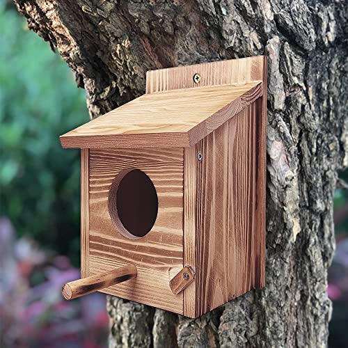 Nidos Para Pajaros, Casa Pajaros Exterior, Pajareras Exterior En Jardin, Nido Para Ninfas, Cajas Nido Para Pajaros, Nidos De Pajaros, Nidos Para Agapornis, Nido Pajaros Exterior Para El Jardín