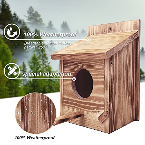 Nidos Para Pajaros, Casa Pajaros Exterior, Pajareras Exterior En Jardin, Nido Para Ninfas, Cajas Nido Para Pajaros, Nidos De Pajaros, Nidos Para Agapornis, Nido Pajaros Exterior Para El Jardín