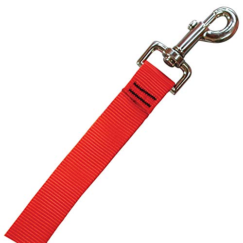 Nite Ize NiteDawg Led Dog Collar Accesorios para Mascotas, Hombres, Rojo, M