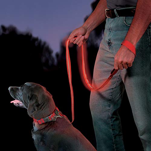 Nite Ize NiteDawg Led Dog Collar Accesorios para Mascotas, Hombres, Rojo, M