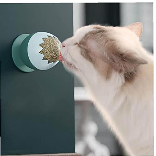 Onsinic 1 Unid Natural Sano Catnip Molar Masticar Juguetes Snack Alimento Juguete Bolas Dientes Limpieza para Kitten Limpieza Dientes