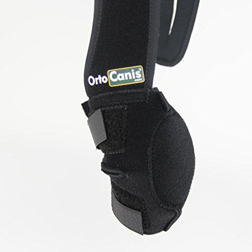 Ortocanis - Protector de Codo para Perros con artrosis, Lesiones, hygromas, Bursitis - 4 Tallas - Color Negro (L - Izquierdo)