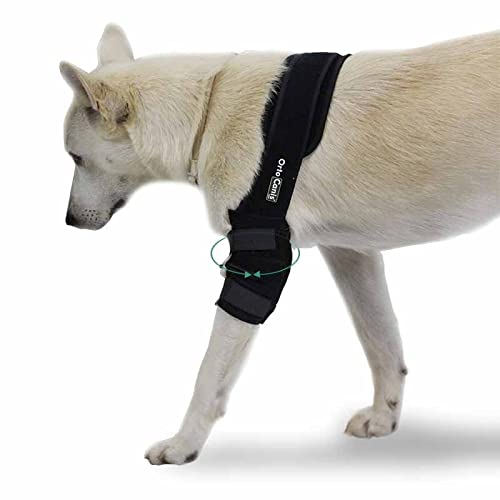 Ortocanis - Protector de Codo para Perros con artrosis, Lesiones, hygromas, Bursitis - 4 Tallas - Color Negro (L - Izquierdo)