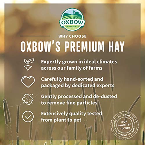Oxbow Western Timothy Hay - 2.55 kg