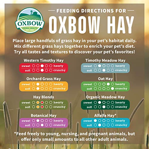 Oxbow Western Timothy Hay - 2.55 kg