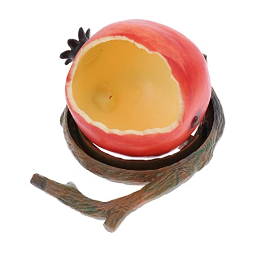 P Prettyia P Jaula para P谩jaros Estilo Fruta Cuenco Colgante Accesorio para Hur贸n Loro Jaula para P谩jaros - N. 掳 2 - Estilo 2