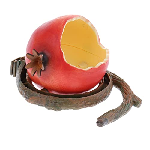 P Prettyia P Jaula para P谩jaros Estilo Fruta Cuenco Colgante Accesorio para Hur贸n Loro Jaula para P谩jaros - N. 掳 2 - Estilo 2