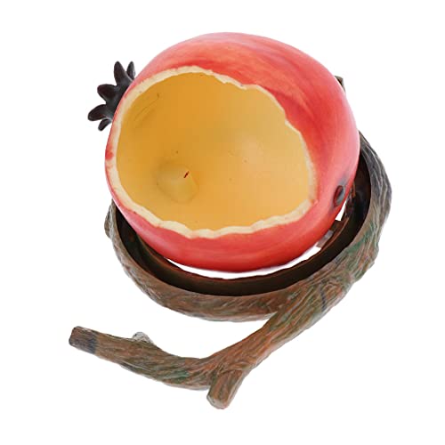 P Prettyia P Jaula para P谩jaros Estilo Fruta Cuenco Colgante Accesorio para Hur贸n Loro Jaula para P谩jaros - N. 掳 2 - Estilo 2