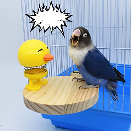 Pájaro TOYS NATURAL PERCH PERCH PLATURANTE CON PLATACIÓN DE CAJA DE POLLO AMARILLO LINDO PARA COCIDOS CONOURSUFICIONES LIGGÍAS LOVEBARDS PUEBLOS PUEBLES DE MADERA NATURAL