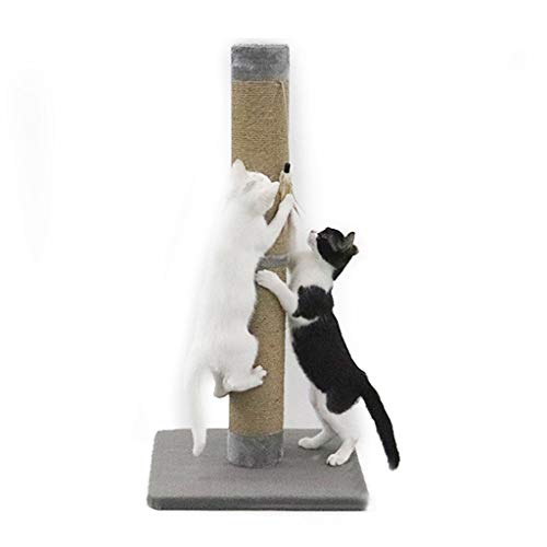 Patio de Juegos para Gatos 18,5 '' De Altura del Gato Que Rasguña El Poste, Kitty Rascador con Balón Colgado, Polo Rascador Duradero Gato con Sisal Cuerda Parque Infantil para Gatos (Color : Gris)