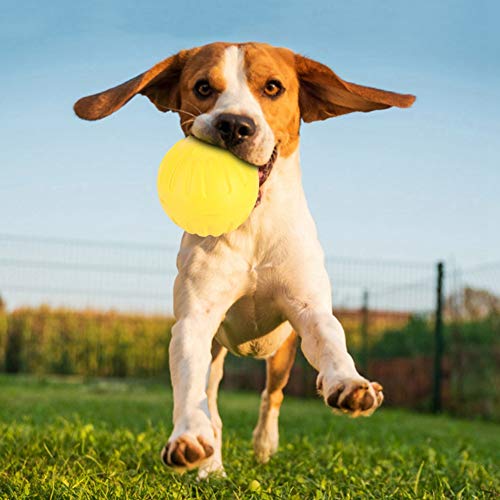 Pelota de Juguete para Perros, Pelota de Goma EVA para Perros Juguete portátil para Perros Mascotas duraderas Pelota de Juguete para Perros, Juguete de Goma para Perros Juguete Interactivo