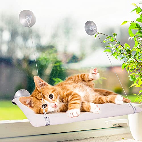 Pet Prime - Hamaca para ventana de gato, hamaca con ventosas extraíbles, para gato, con capacidad para hasta 50 libras