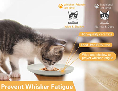 Petdoer Plato de cerámica para gatos poco profundos, sin fatiga, cuencos de comida para gatos anchos y pequeños, placa antideslizante para gatitos y gatitos, gato Munchkin de patas cortas