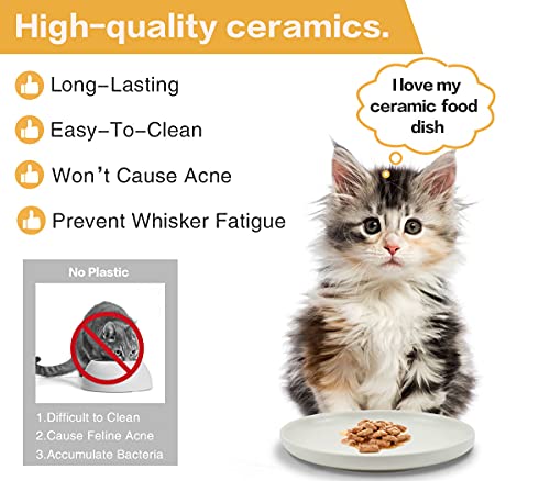Petdoer Plato de cerámica para gatos poco profundos, sin fatiga, cuencos de comida para gatos anchos y pequeños, placa antideslizante para gatitos y gatitos, gato Munchkin de patas cortas