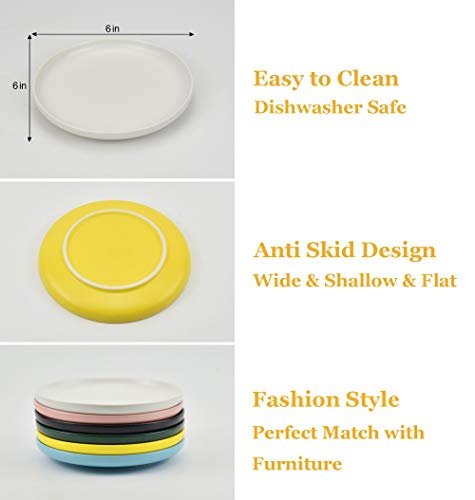 Petdoer Plato de cerámica para gatos poco profundos, sin fatiga, cuencos de comida para gatos anchos y pequeños, placa antideslizante para gatitos y gatitos, gato Munchkin de patas cortas