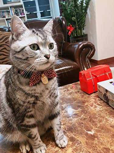 PetSoKoo Bufanda de orejas de conejo, collar de gato con campana y colgante de moneda. Estilo único Japón. 100% algodón. Para niña niño y mujer lindo collar de gato