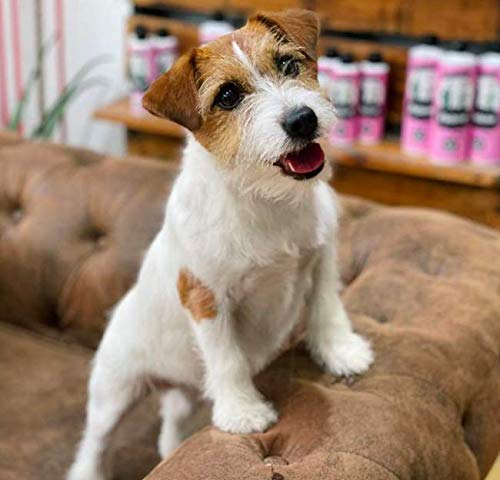 Petuxe Acondicionador bifásico para Mascotas. Acondicionador Vegano Perros. Acondicionador Gatos. Todas Las Razas. Todo Tipo de Pelo. Hidratación y Brillo. Facilita el desenredado y Secado- 1000 ml