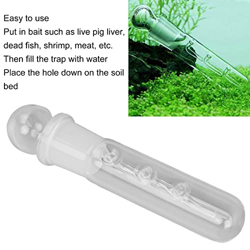 PLYE Trampa de Planaria, Tubo de Trampa de Sanguijuela Planaria de Vidrio Transparente Fácil de Limpiar para Camarones Enanos para Camarones Rojos de para Camarones Cereza(Receptor de 3 Hoyos)