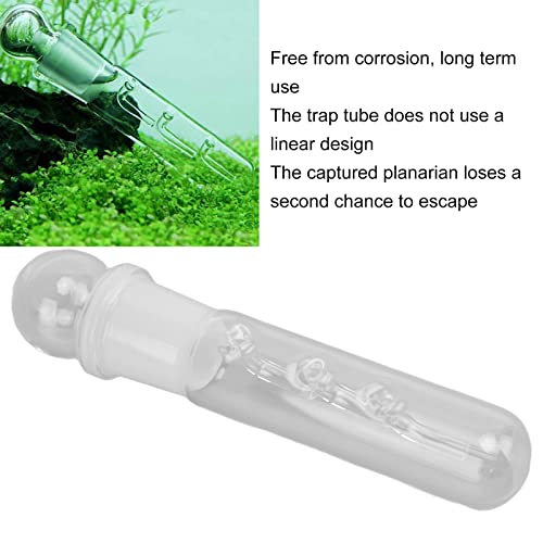 PLYE Trampa de Planaria, Tubo de Trampa de Sanguijuela Planaria de Vidrio Transparente Fácil de Limpiar para Camarones Enanos para Camarones Rojos de para Camarones Cereza(Receptor de 3 Hoyos)