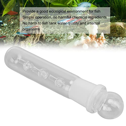 PLYE Trampa de Planaria, Tubo de Trampa de Sanguijuela Planaria de Vidrio Transparente Fácil de Limpiar para Camarones Enanos para Camarones Rojos de para Camarones Cereza(Receptor de 3 Hoyos)